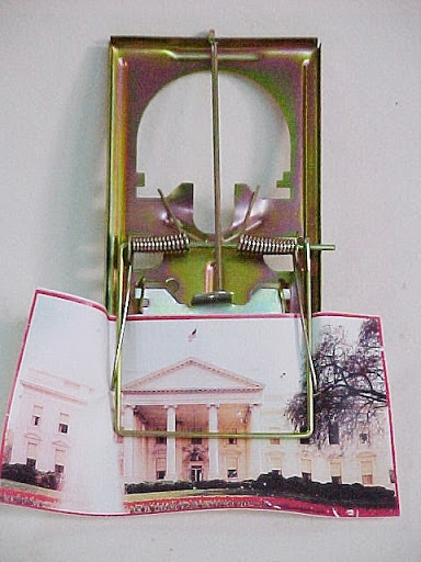 Three multiples (X/infinity) white trap