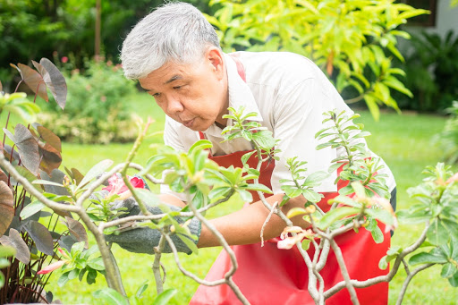 TAG Man Pruning in the Garden