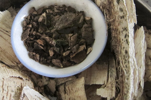 Agarwood (resin-permeated wood) – raw material for Chinese medicine and fragrances
