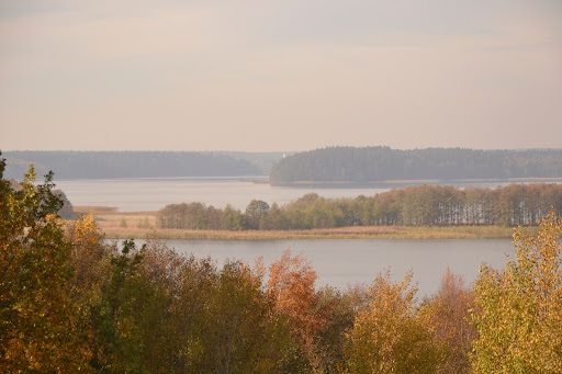 Lake Wigry in autumn
