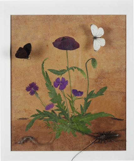 신사임당의 '초충도' 재현