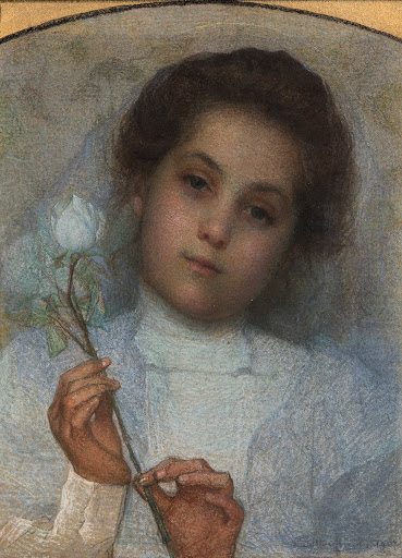 La rosa bianca