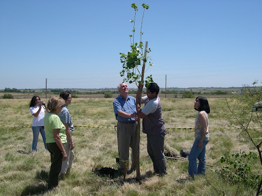 Tree planting at Oro Verde Botanical Garden, Argentina