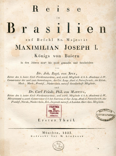 Reise in Brasilien, página título