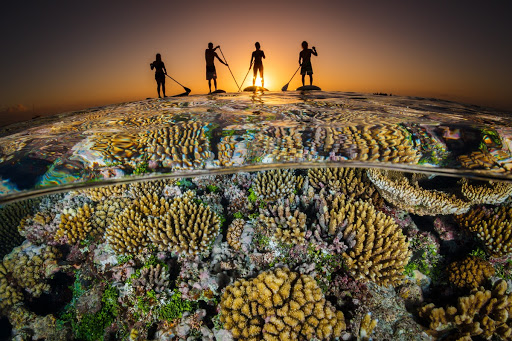 Paddle boarders over a reef