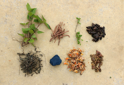 A few dye plants found in Kumaon.