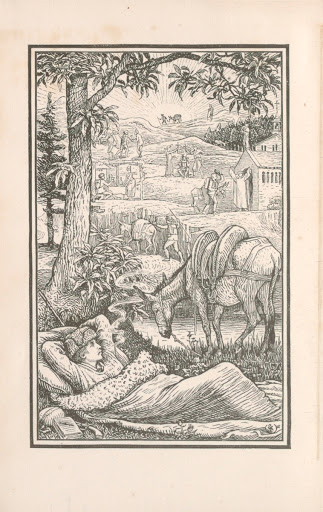 'Travels with a Donkey in the Cévennes' frontispiece