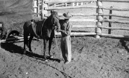 Stockman working, 1955 from Life and work on Roy Hill Station, Courtesy of State Library of Western Australia