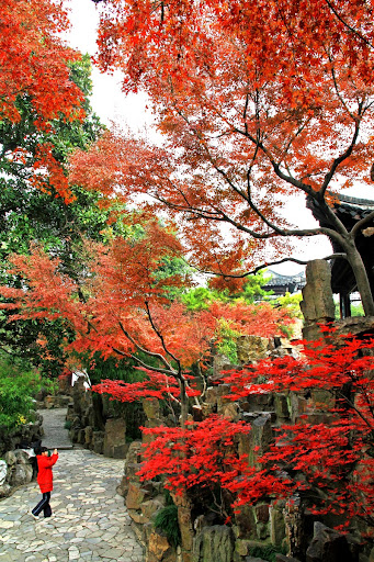 Autumn View of Geyuan Garden