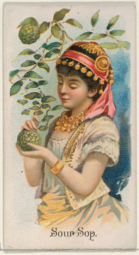 Sour Sop, from the Fruits series (N12) for Allen & Ginter Cigarettes Brands