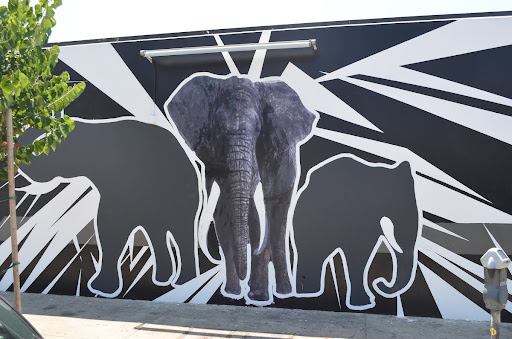 Every Piece of Ivory Comes from a Dead Elephant