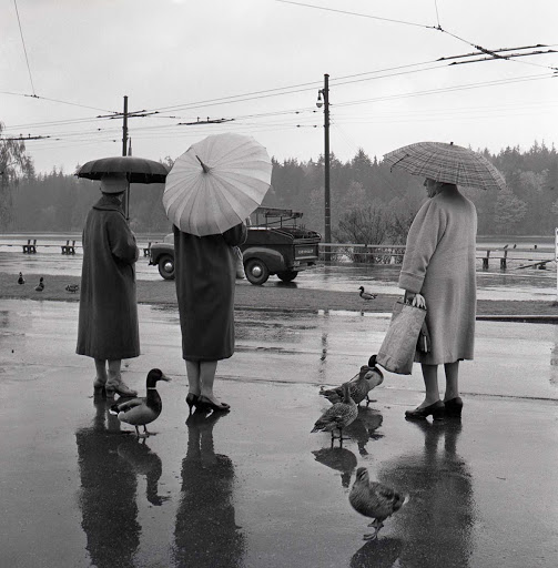 Women With Umbrellas Waiting for a Bus