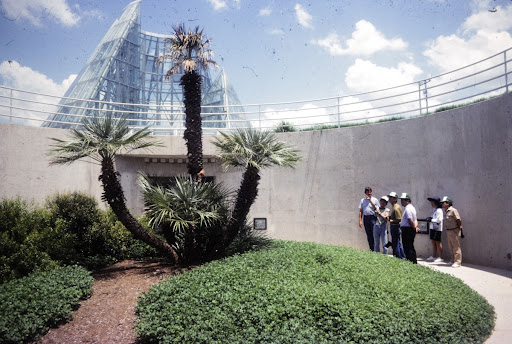 First Public Viewings: Lucile Halsell Conservatory