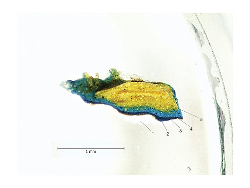 Cross section of the paint sample