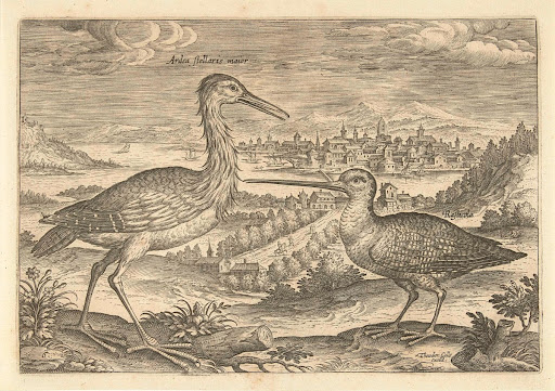 Twee vogels in een landschap