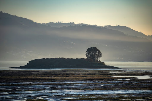 Ensenada de San Simón, in the Vigo estuary, and Rande bridge