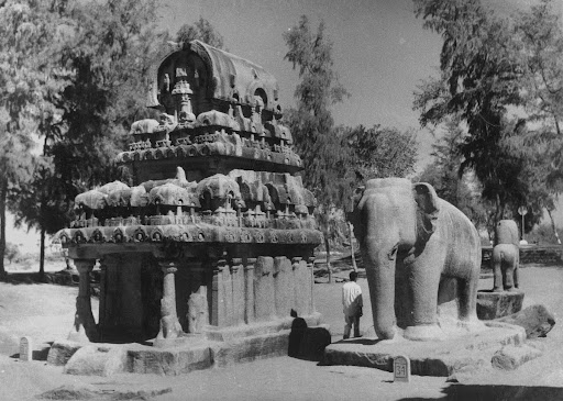 Nakula Sehdeva Ratha