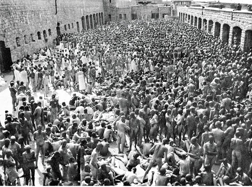 Pest control in KL Mauthausen