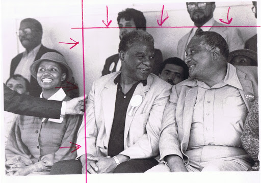 Harold and Carol Moseley Braun