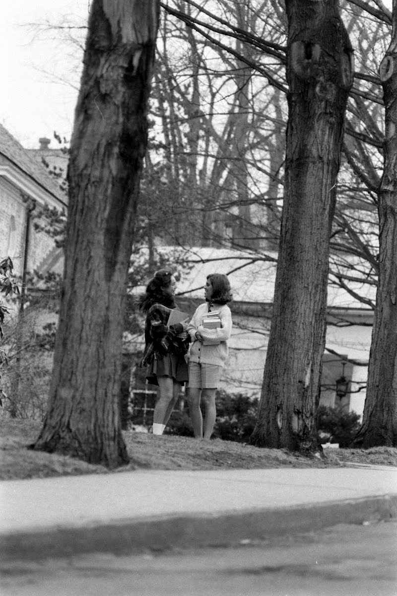 Julie Nixon And David Eisenhower