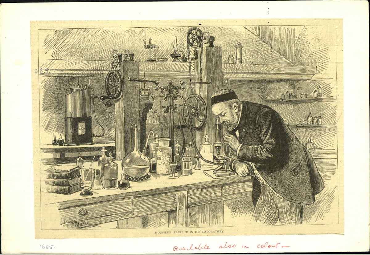 Pasteur Louis 1822-1895 French Chemist And Bacteriologist