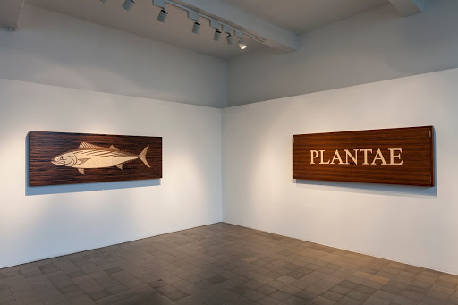 The Persistent Weeds of Istanbul / Resilient Marine Life of Istanbul The Persistent Weeds of Istanbul / Resilient Marine Life of Istanbul