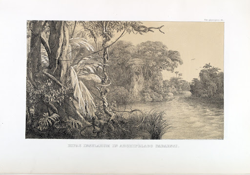 Vol. I, Part I, Fasc. See Urban Plate 40