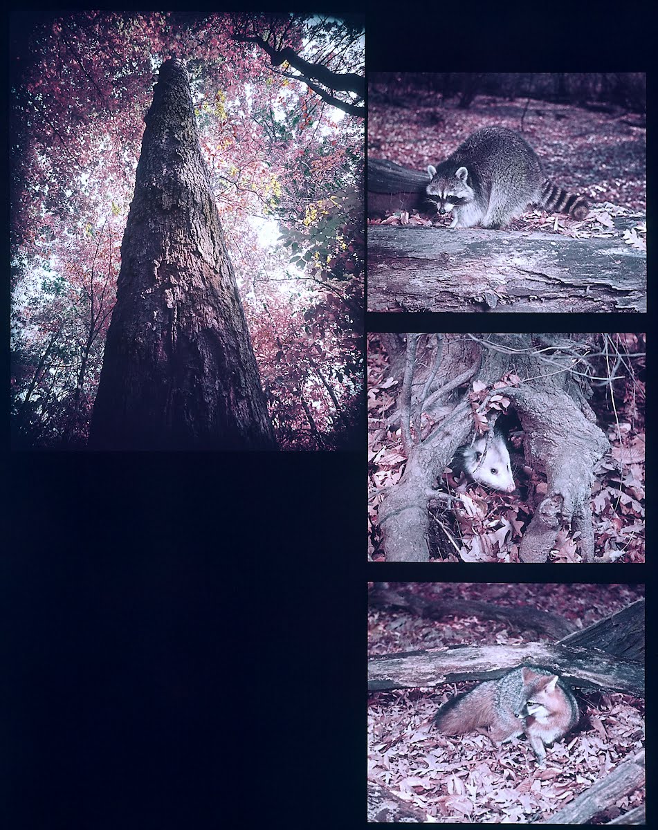 Sculpture By Picasso