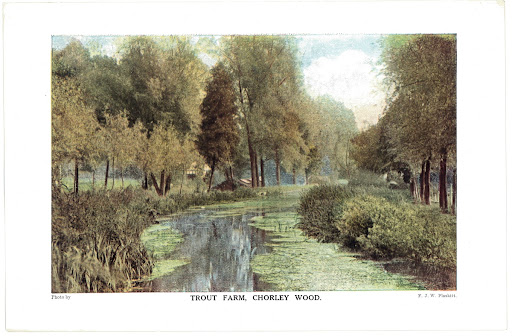 Artists Impression of Trout Farm at Chorley Wood