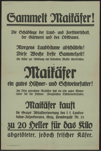 Announcement, “Maybugs”