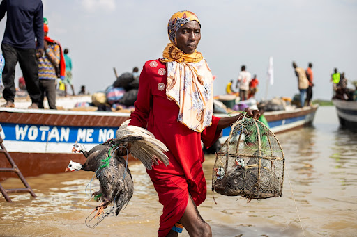 Woman carrying guinea fowls