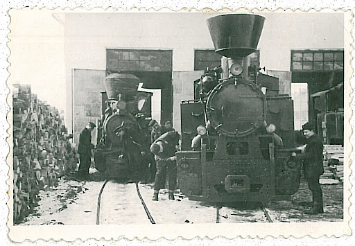 New locomotives, Reşiţa model, in the Vişeu de Sus Depot