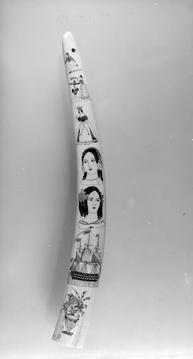 Decorated Walrus Tusk