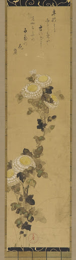 Chrysanthemums
