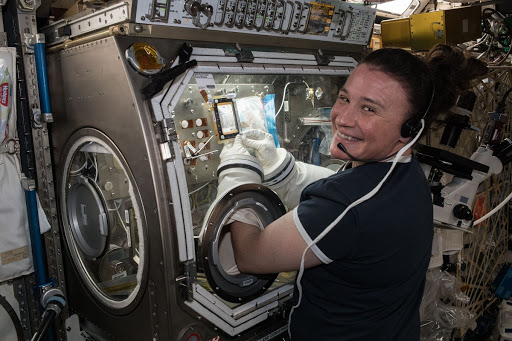 Serena Auñón-Chancellor conducts research operations for the AngieX Cancer Therapy study inside the Microgravity Science Glovebox.