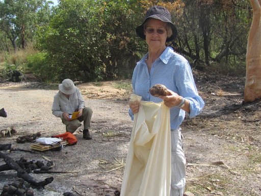 Collecting in Kakadu National Park