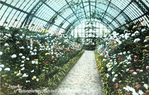 Mitchell Park Conservatory Interior Postcard