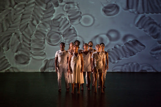 David Rousseve/REALITY by Rose Eichenbaum