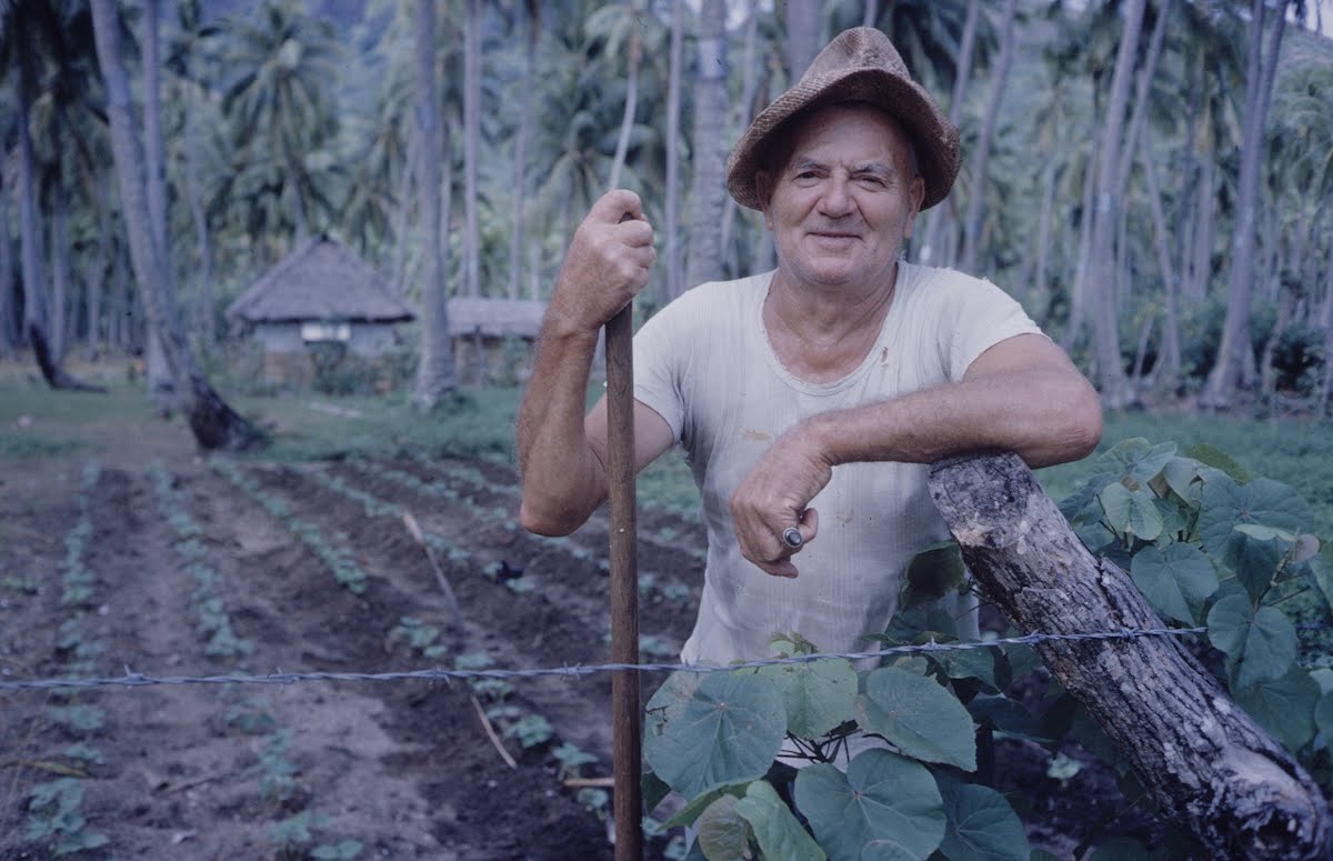 Moorea, Paradise Island