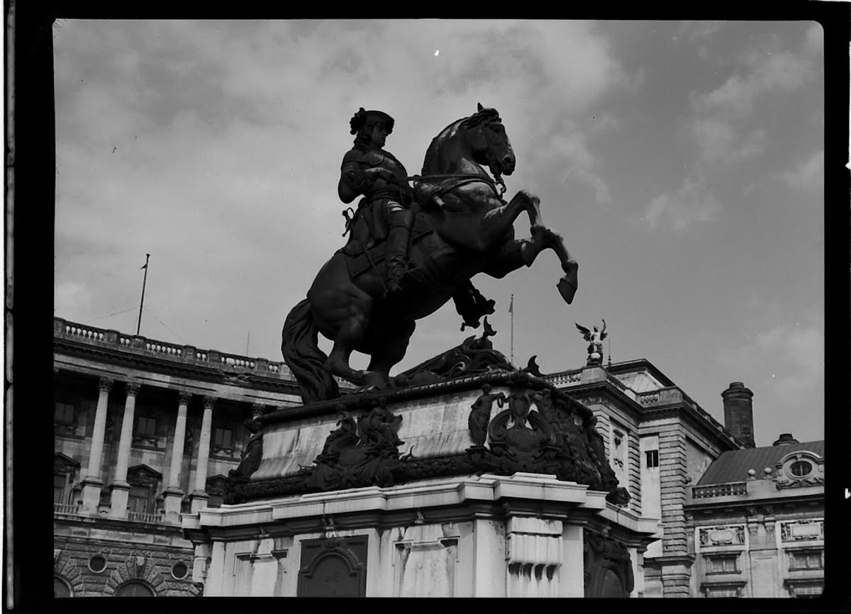 Lippezzaneauer Horses Of Vienna