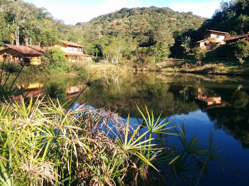 A Quiet Lagoon Surrounded by Green