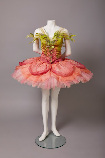 Tutu for a Girlfriend in David McAllister's The Sleeping Beauty