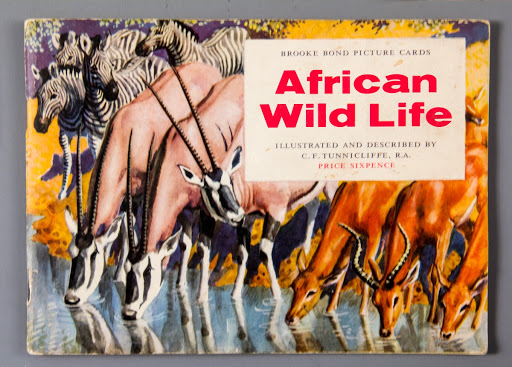 Activity book:African Wild Life