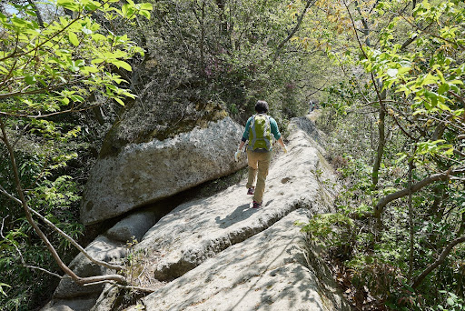馬の背・牛の背