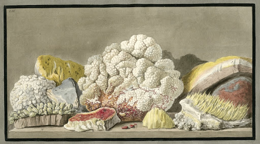 Plate 53, volcanic rock from Solfatara