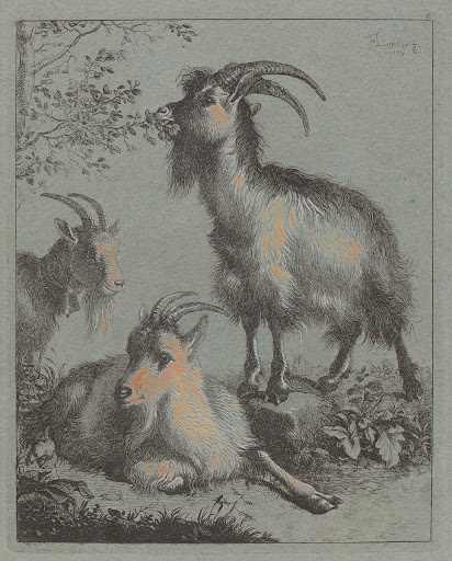 Three Goats