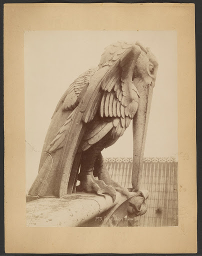 Gargoyle, Notre-Dame, Paris, France