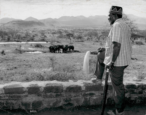 Kenyatta looks at herd of elephants