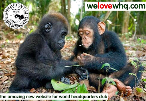 Early Whq flyer for the website