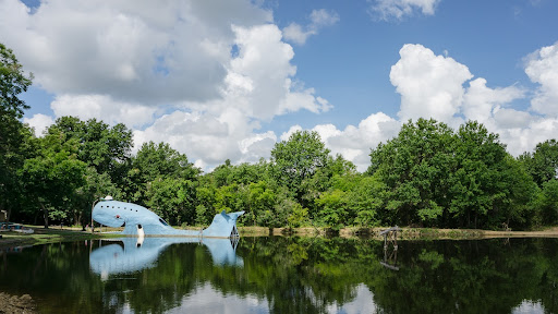 Whale in the Summertime
